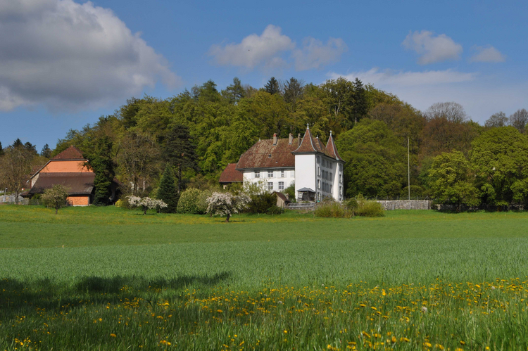 Herrenhaus des Königshofs Das Herrenhaus des Königshofs und seine grosse Scheune (links im Bild) liegen inmitten einer unverfälschten Kulturlandschaft.
Bildnachweis: Kantonale Denkmalpflege Solothurn