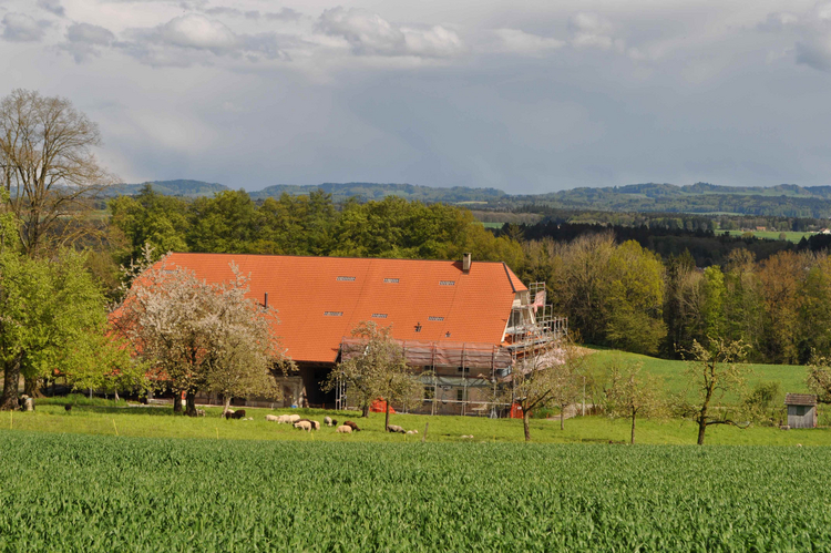 Bromegghof Der Bromegghof, ein alter Steckhof im Grüngürtel zwischen Solothurn und Biberist, in einer Aufnahme Richtung Süden.
Bildnachweis: Kantonale Denkmalpflege Solothurn