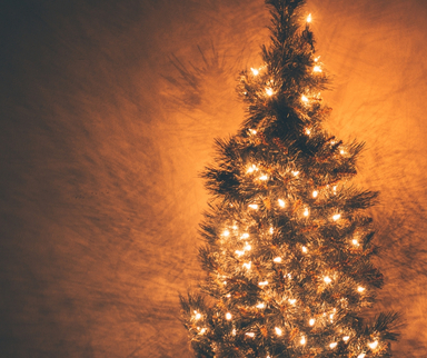 Weihnachtsbaum