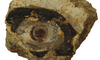 Wandmalerei-Fragment mit der Darstellung eines menschlichen Auges