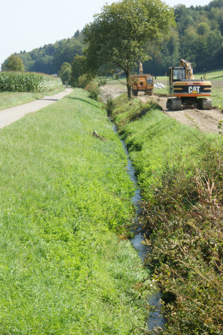 Beginn der Revitalisierung