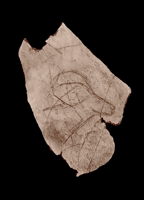 Knockenplättchen mit eingeritztem Steinbockkopf - das älteste Kunstwerk des Kantons