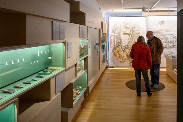 Themenraum zur Jungsteinzeit mit Vitrinen und Lebensbild