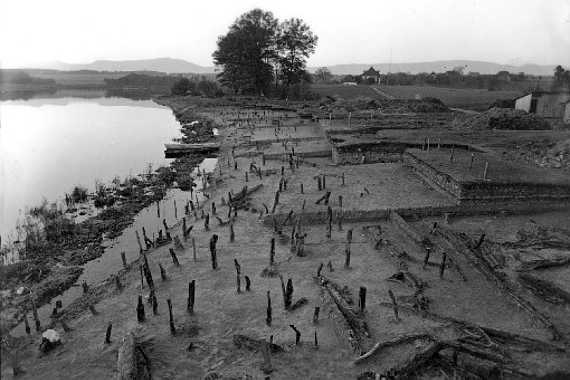 Burgäschi Ost Pfahlfeld