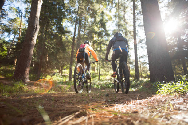 Zwei Personen fahren mit Mountainbikes auf einem Waldweg.