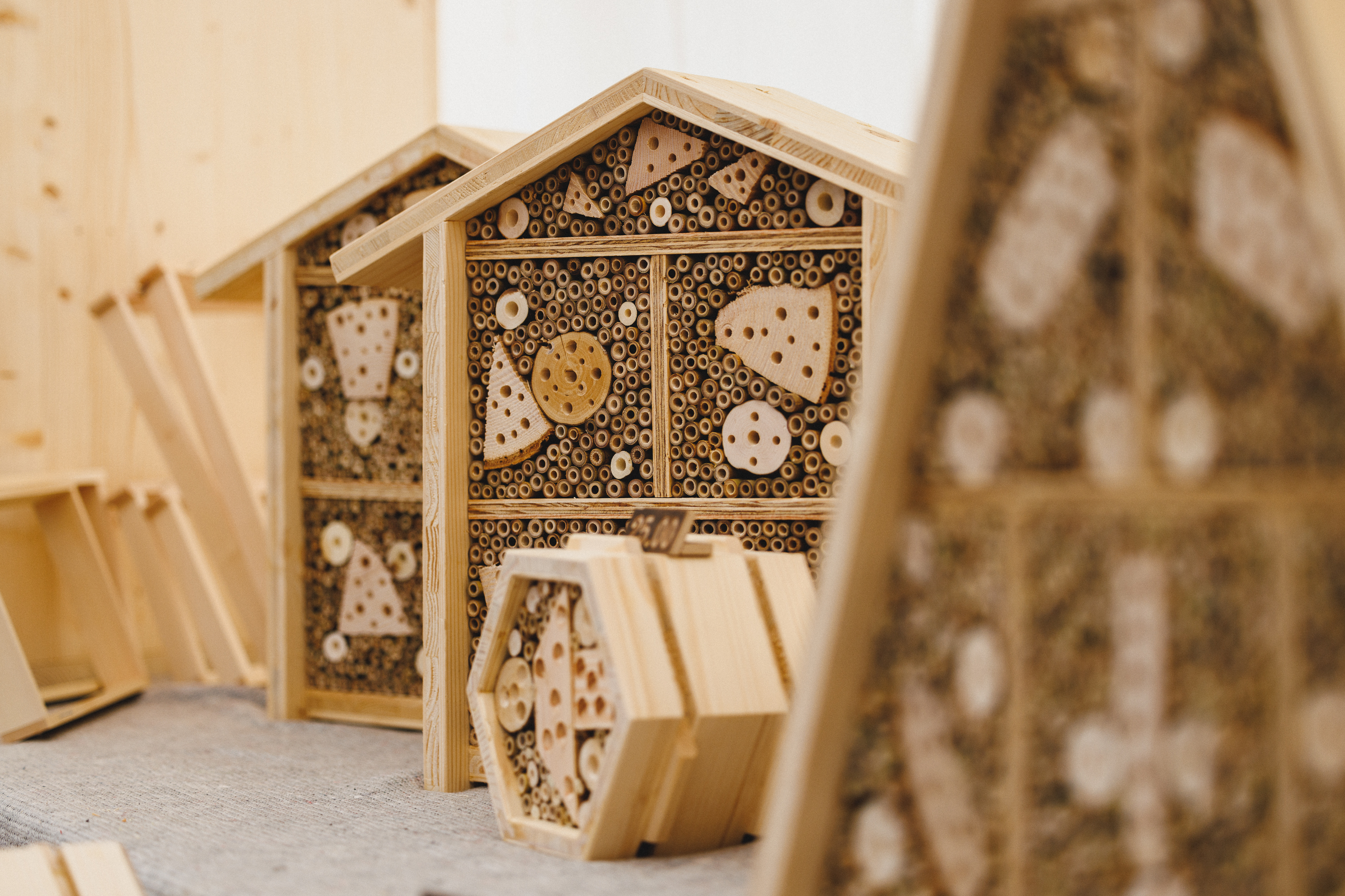 Insektenhaus