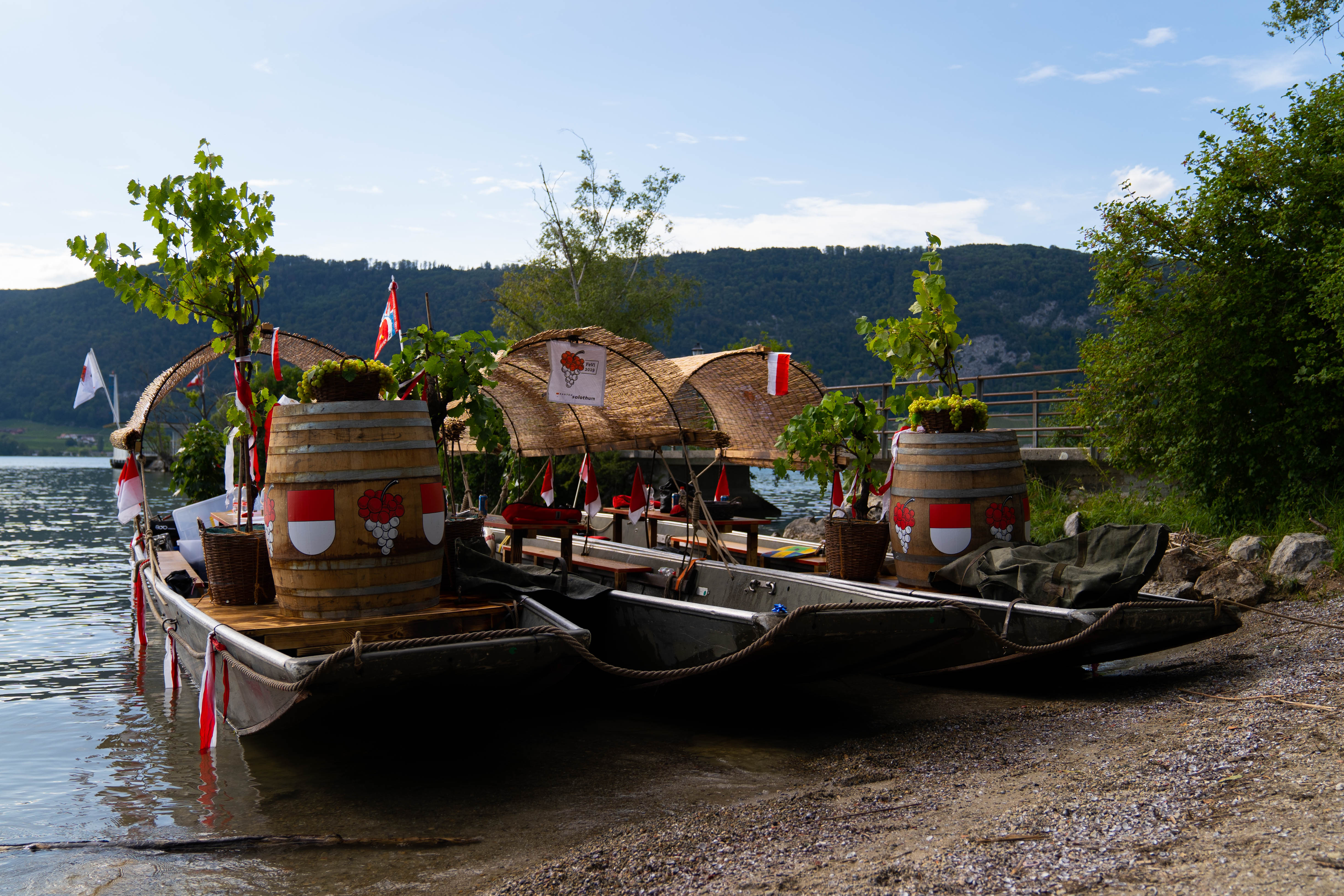 Das Solothurner Weinschiff in einer Bucht der St. Petersinsel.