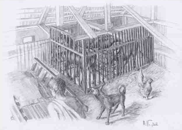 Bild 4 - Römisches Landgut beim Spitalhof in Biberist