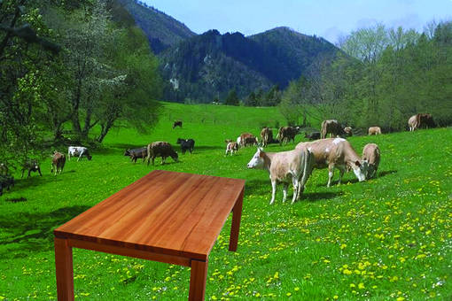 Berghof Montpelon, Gänsbrunnen