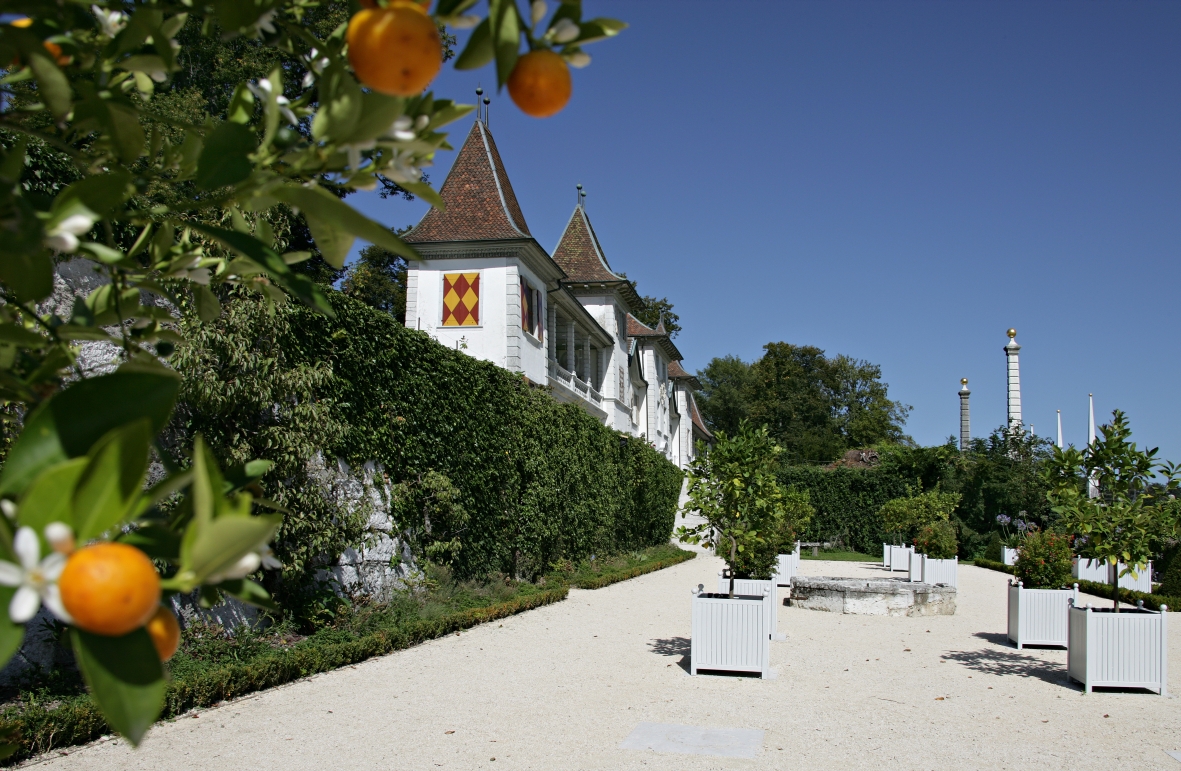 Schloss Waldegg Orangerie