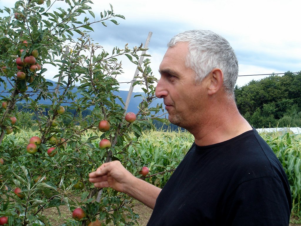 Niklaus Bolliger - Bild 1