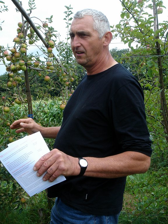 Niklaus Bolliger - Bild 2