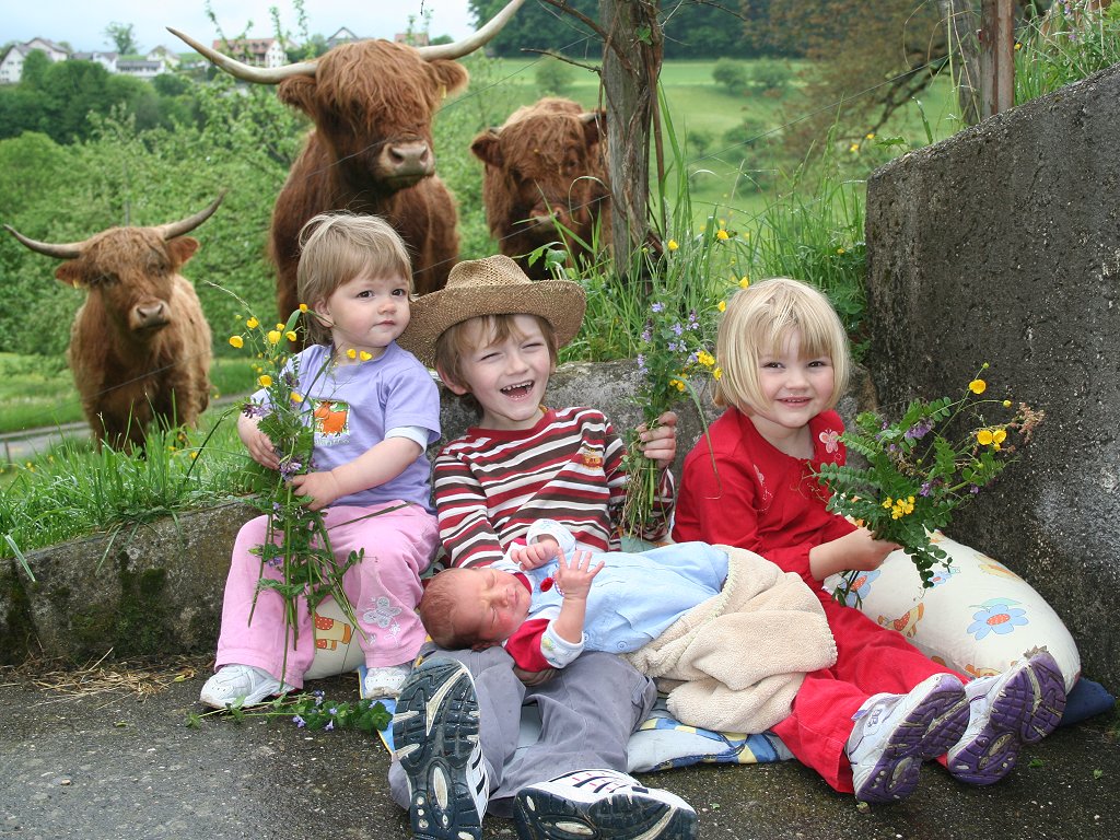 Familie Brunner - Bild 3