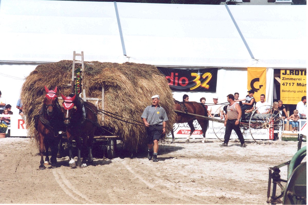 Pferdetreffen Ramiswil