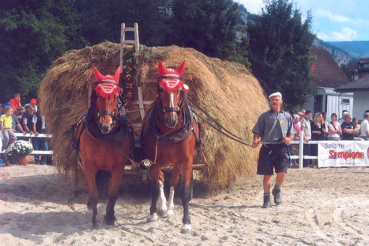 Pferdetreffen Ramiswil