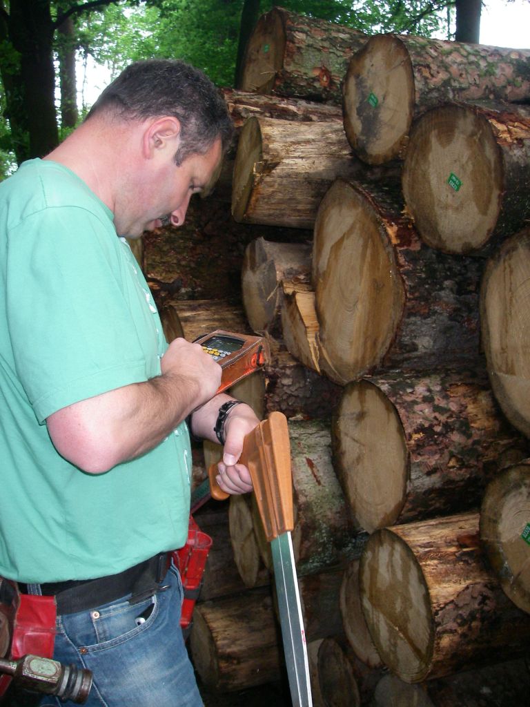 Förster beim Holz einmessen