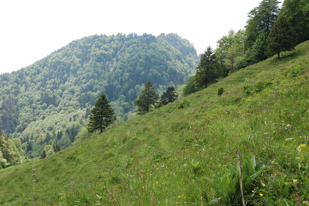 Bild 1 - Blick vom Brueggli zum Bettlachstock