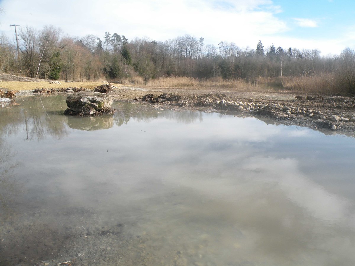 Bild 2: Der neu aufgewertete Lebensraum