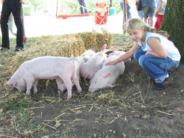 Bild 1 - Wallierhoftag 2010