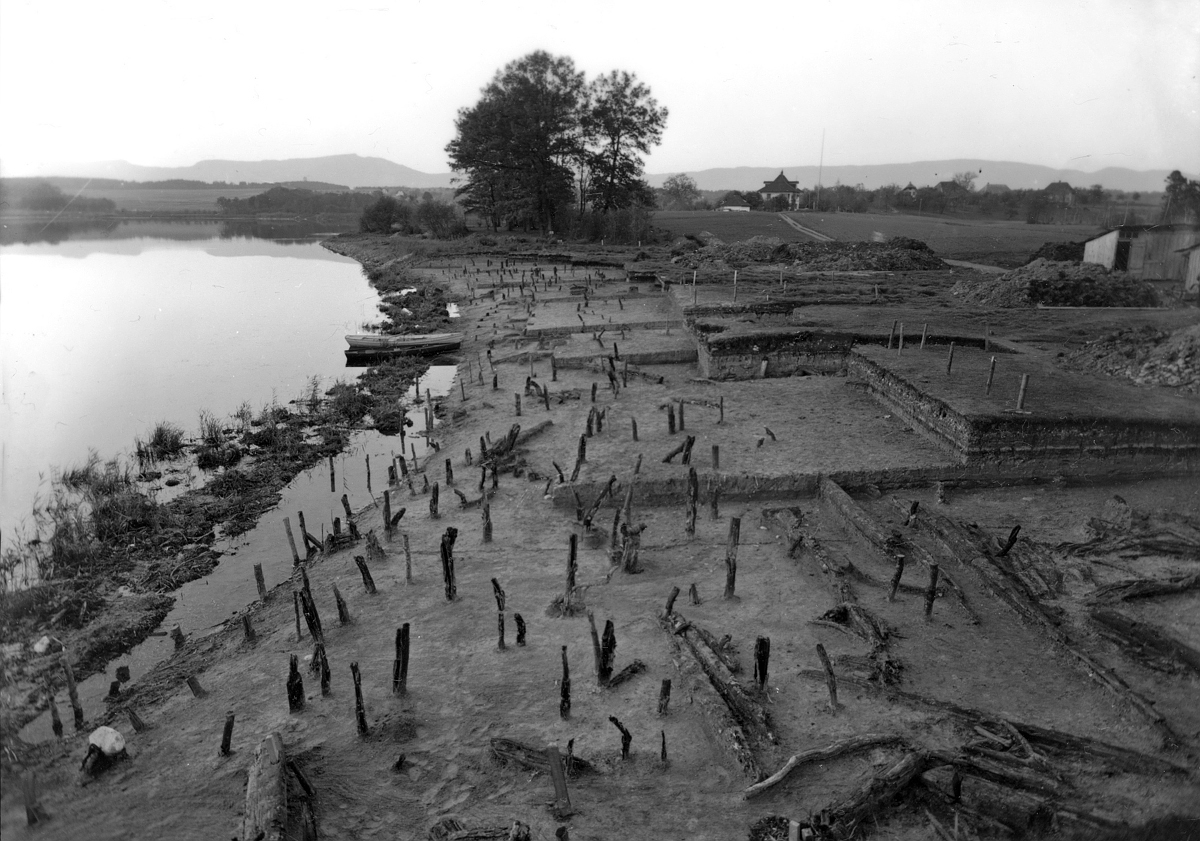 Bild 4 - Burgäschisee Ost. Das Pfahlfeld bei der Ausgrabung 1944
