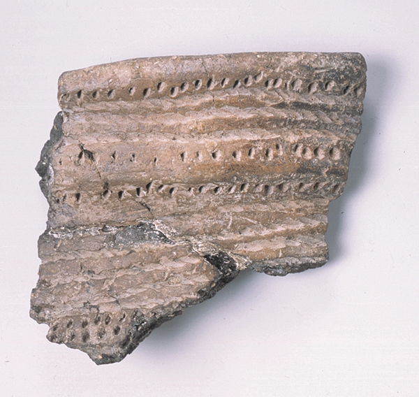 Bild 6 - Schnur-Keramik vom Burgäschisee (Burgäschi Nord)