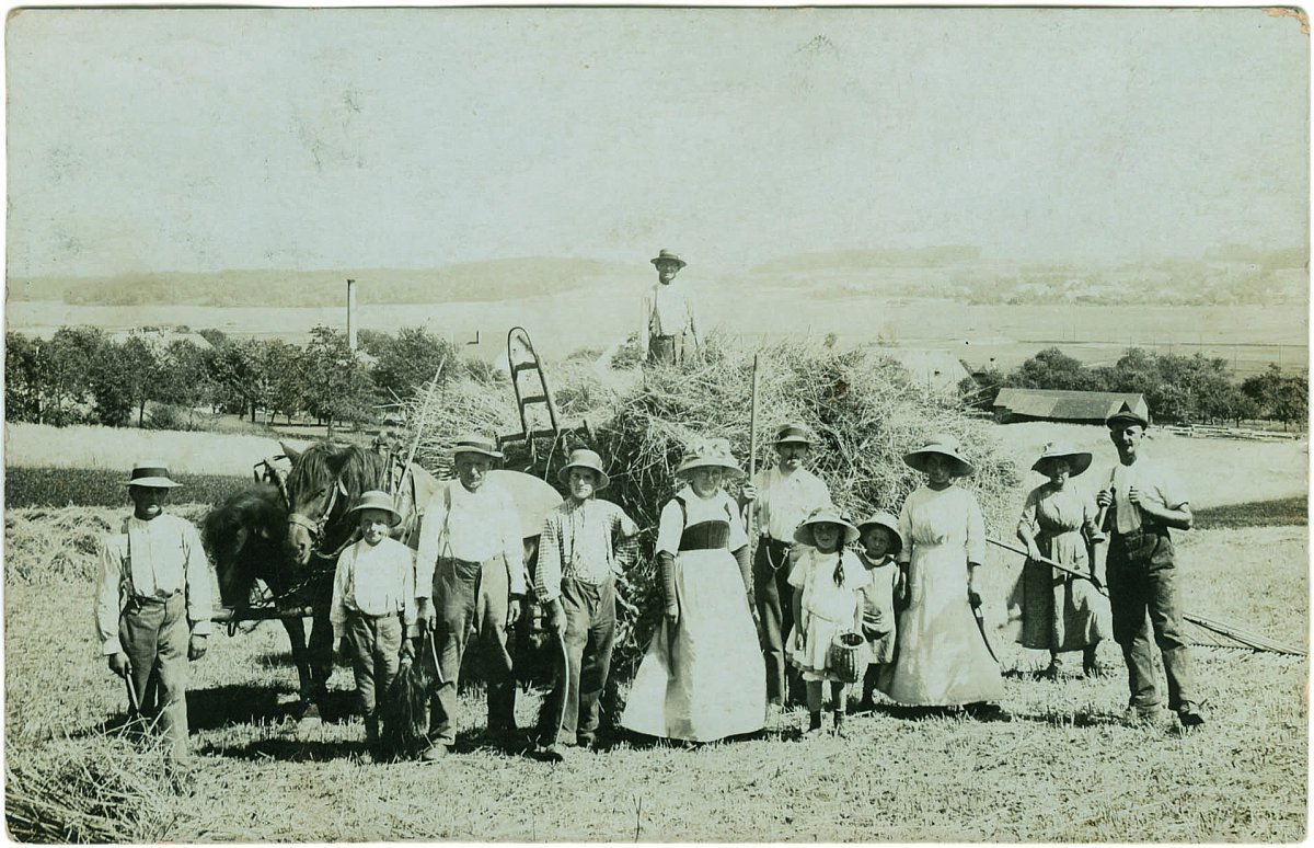 Seite 119 - Getreideernte Unterramsern