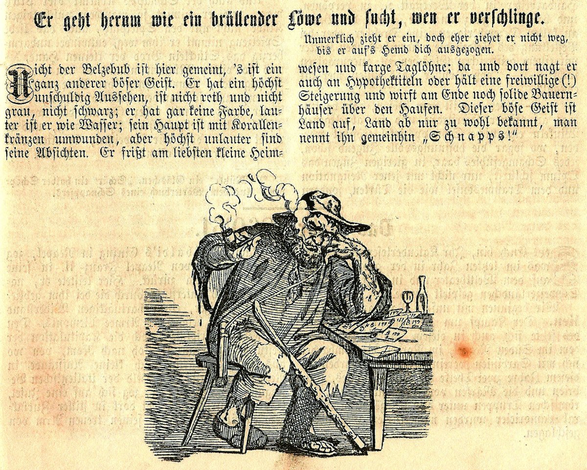 Seite 415 - Schnapsseuche