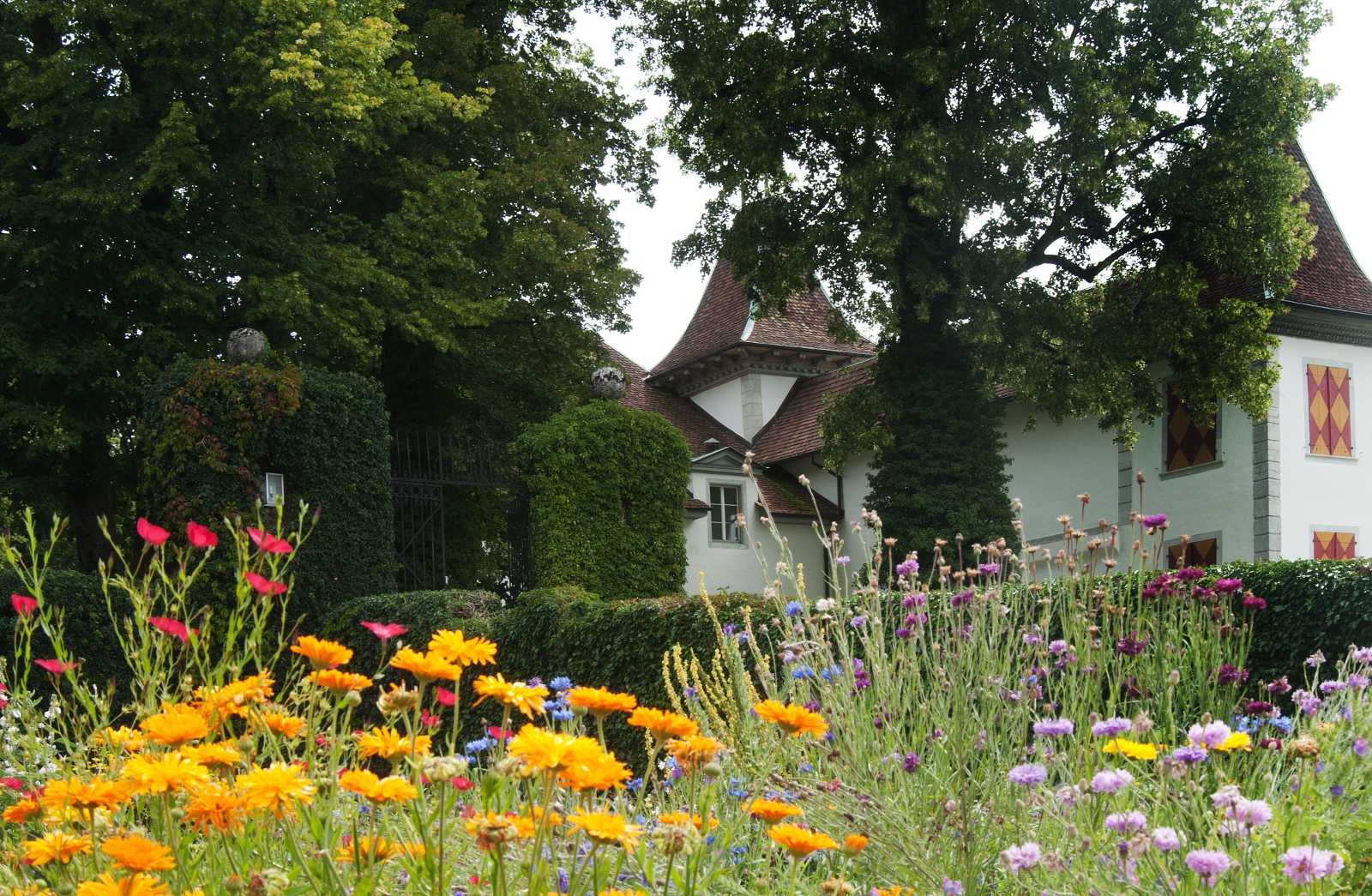 Garten von Schloss Waldegg