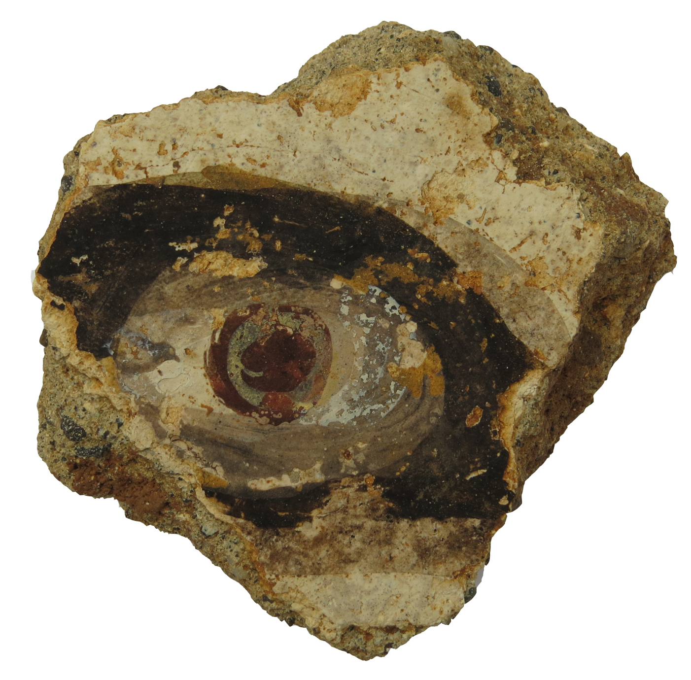 Wandmalerei-Fragment mit der Darstellung eines menschlichen Auges