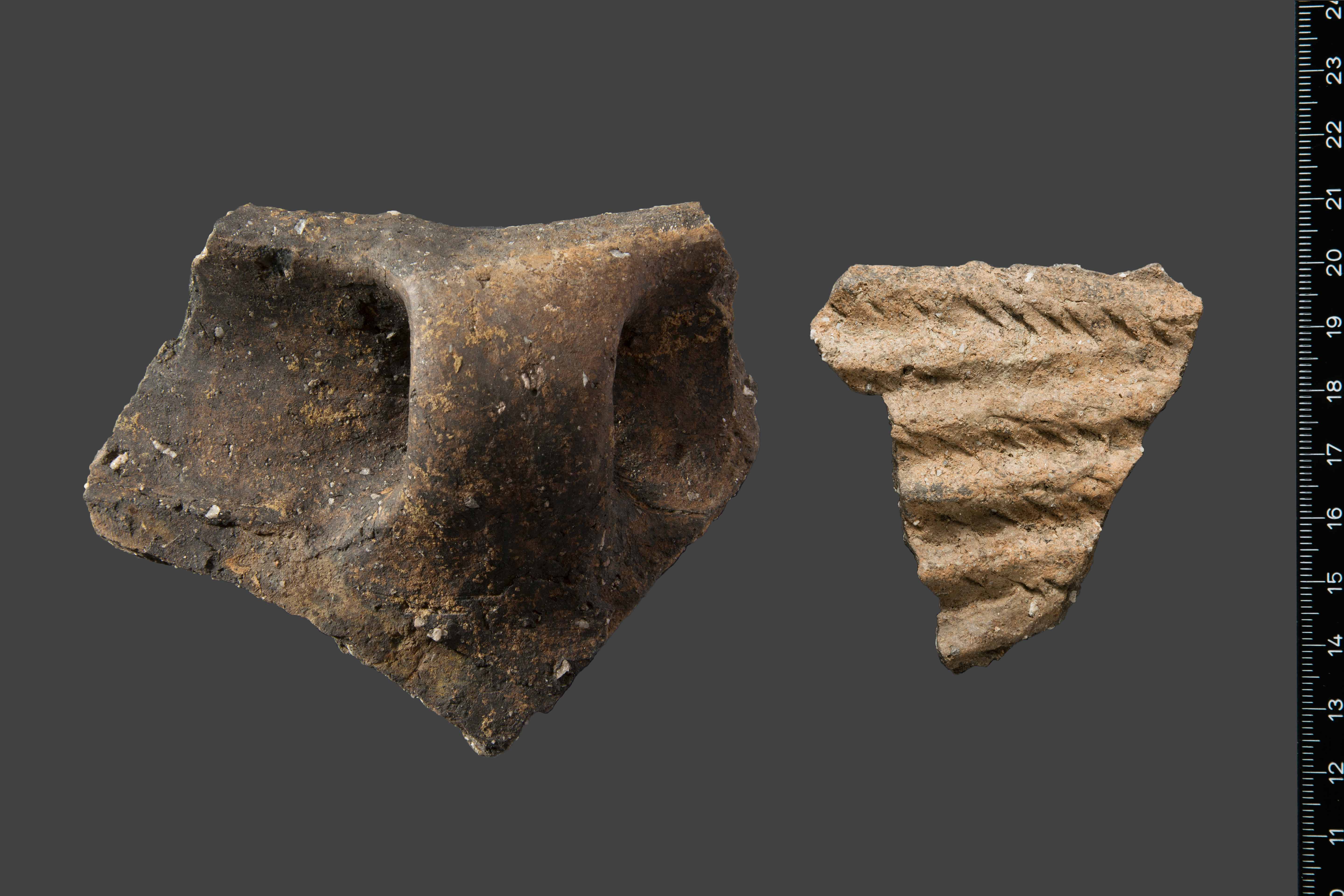 Zwei bronzezeitliche Scherben nach der Reinigung.